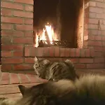 Stara Szkola W Harszu Pozezdrze