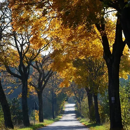 Stara Szkola W Harszu 3*