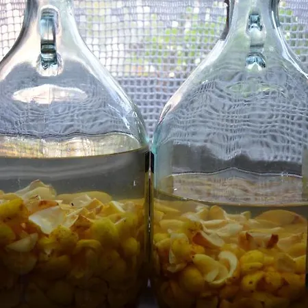 Stara Szkola W Harszu