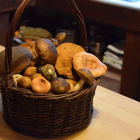 Bed & Breakfast Stara Szkola W Harszu