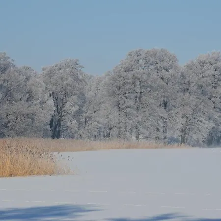 Stara Szkola W Harszu Bed & Breakfast Pozezdrze