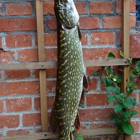 Frühstückspension Stara Szkola W Harszu