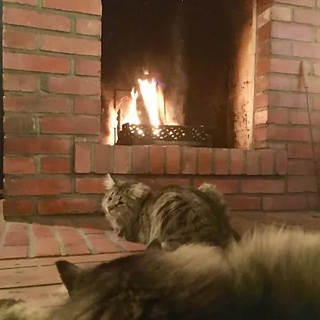 Stara Szkola W Harszu Pozezdrze