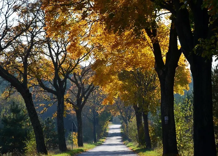 Stara Szkola W Harszu 3*