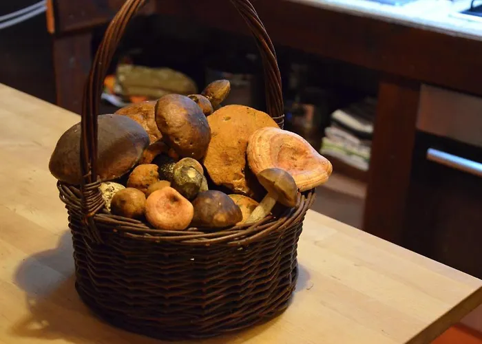 Bed & Breakfast Stara Szkola W Harszu