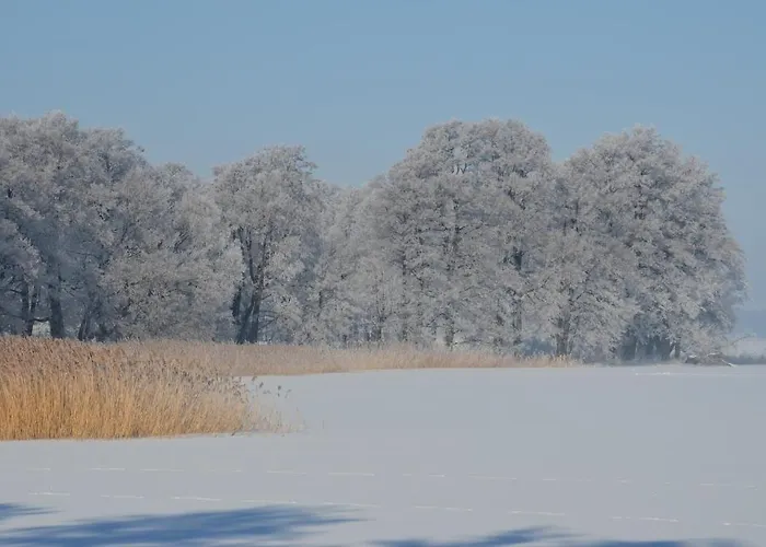 Stara Szkola W Harszu Bed & Breakfast Pozezdrze