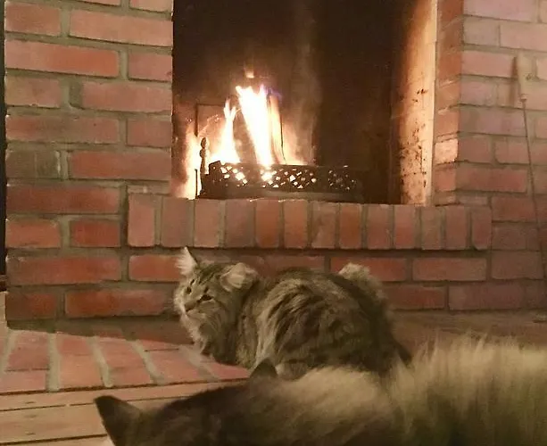 Stara Szkola W Harszu Pozezdrze